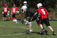 7826 LAX Boys 7-8s v Lake Tapps 030610