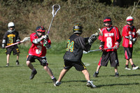 7942 LAX Boys 7-8s v Lake Tapps 030610