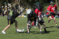 7981 LAX Boys 7-8s v Lake Tapps 030610