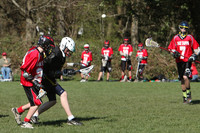 8033 LAX Boys 7-8s v Lake Tapps 030610