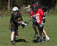 8036 LAX Boys 7-8s v Lake Tapps 030610